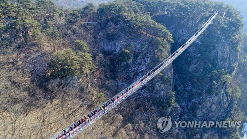 개장하자마자 인기폭발이라는 원주 소금산 출렁다리 | 인스티즈