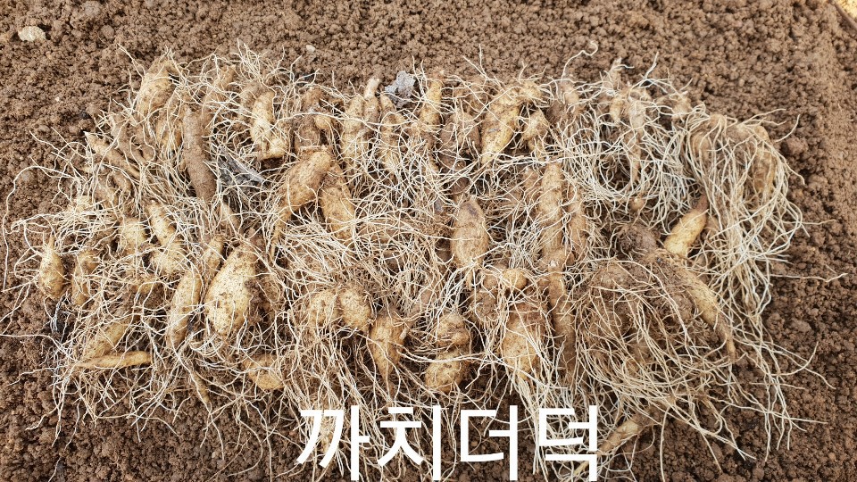 까치통신 이미지