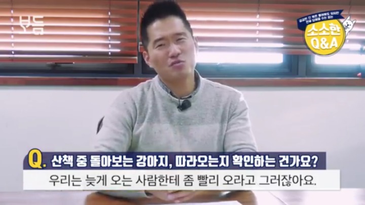 산책 중에 강아지가 뒤돌아보는 이유 | 인스티즈
