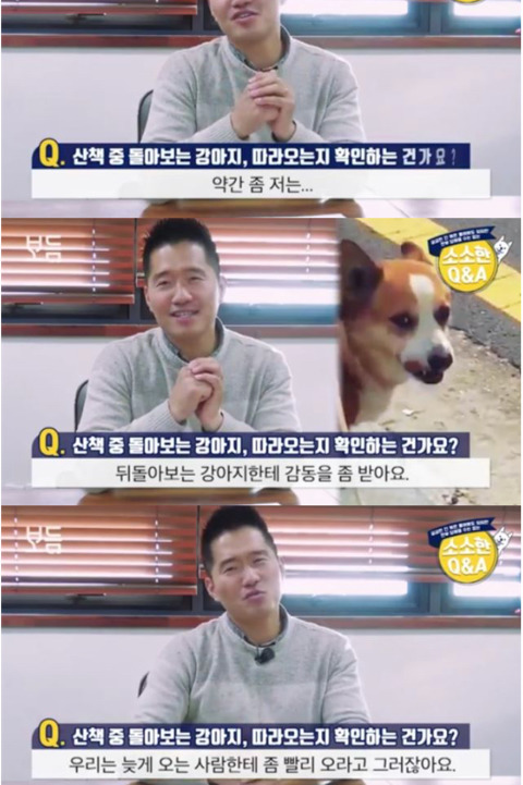 산책 중 돌아보는 강아지,따라오는지 확인하는 건가요? | 인스티즈