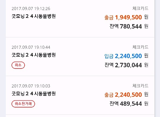 고양이 통장내역 피드백 | 인스티즈