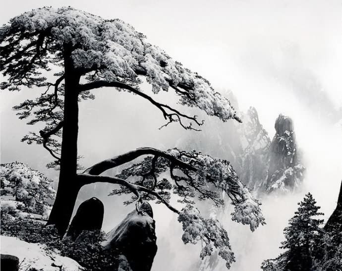 산수화 이미지