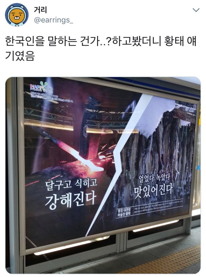 한국인은 황태화 되어가는 듯... | 인스티즈