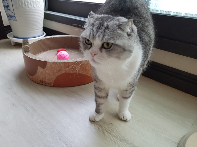행복잡고 이미지