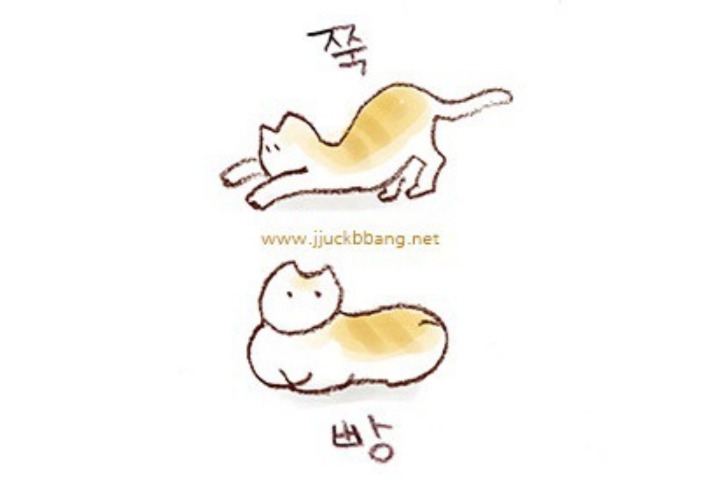 독특한 점을 갖고있는 모델 | 인스티즈