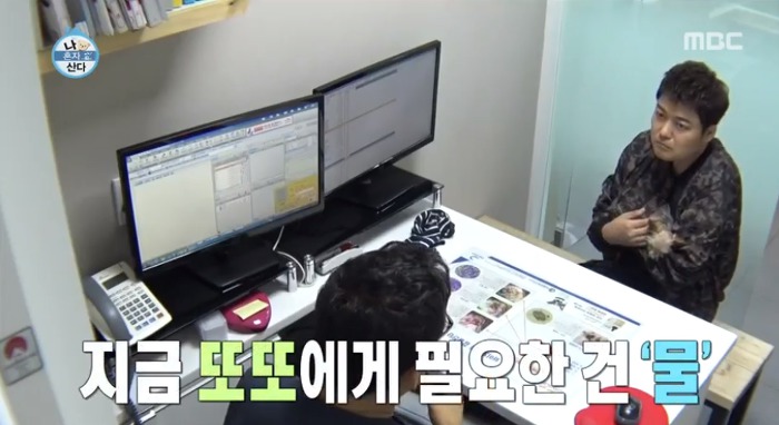 [나혼자산다] 전현무와 17살 반려견 또또 이야기.jpg | 인스티즈
