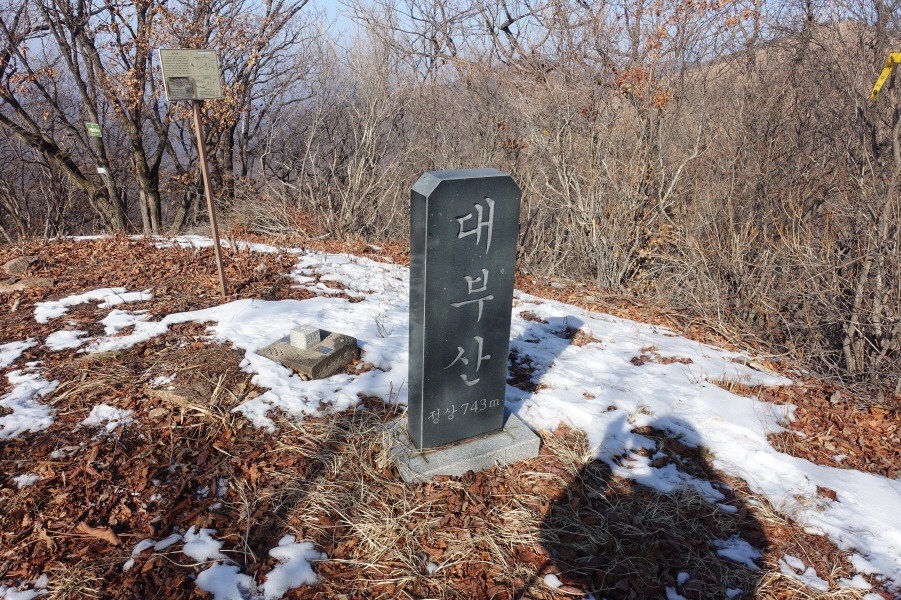대부산 정상 이미지