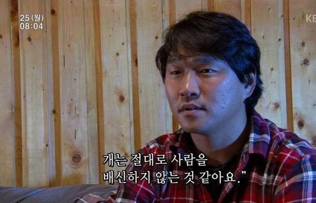 주인이 올 때 까지 기다리고 죽은 강아지 | 인스티즈