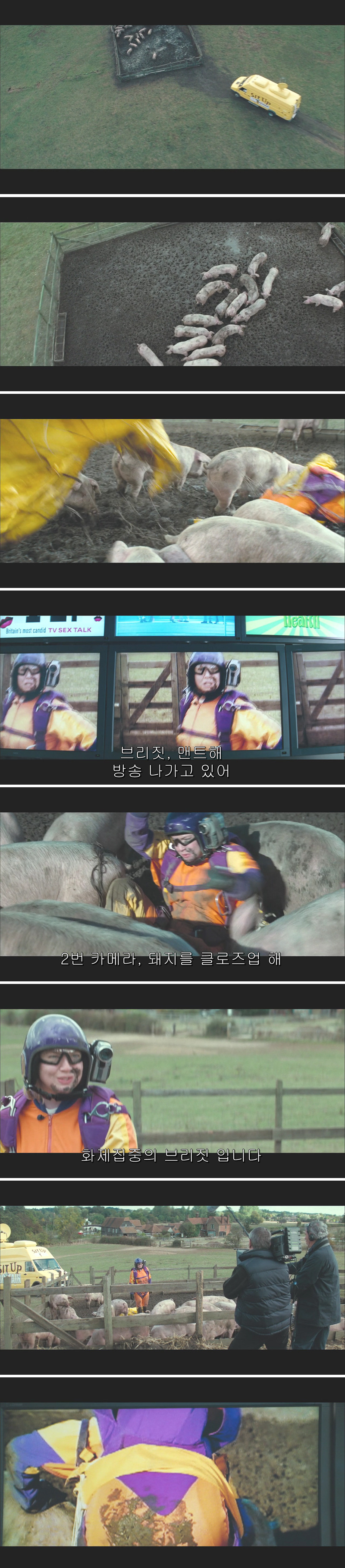 공감성 수치 있으면 절대 못보는 영화 甲. jpg | 인스티즈