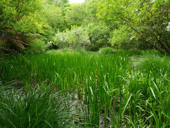 997E8D345CC64FFC2597AD