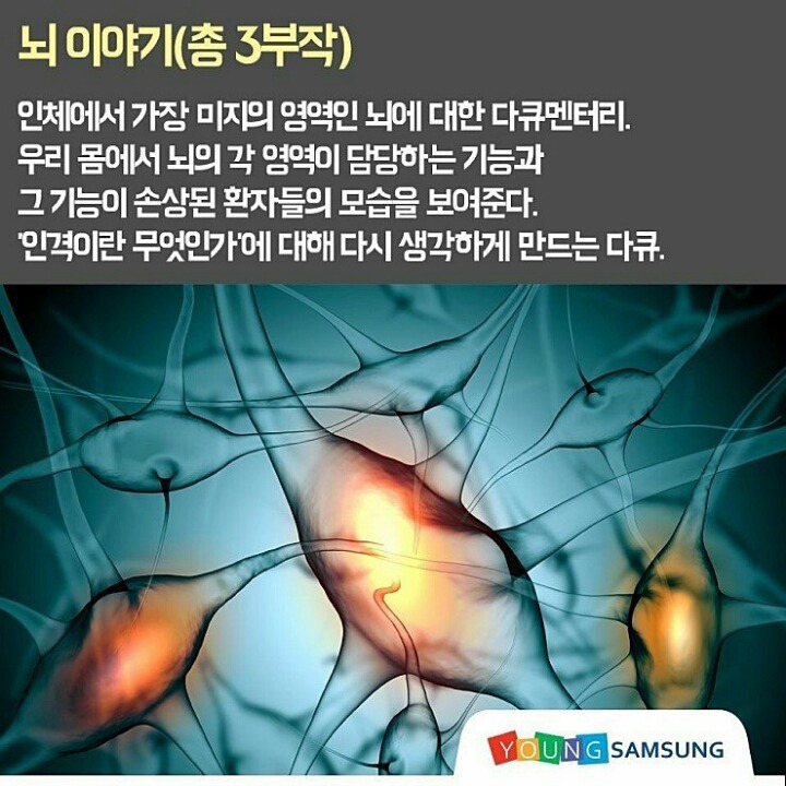 명품 다큐멘터리 10선 | 인스티즈