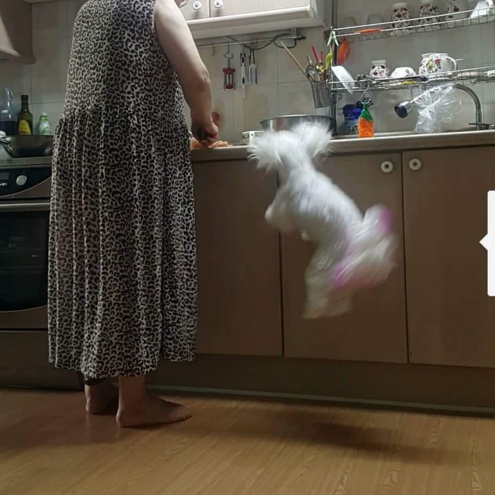 엄마가 수육을 삶았다.jpg | 인스티즈