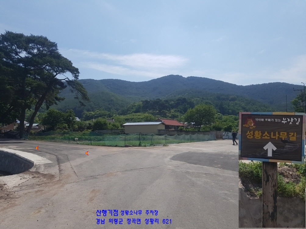 가목 이미지