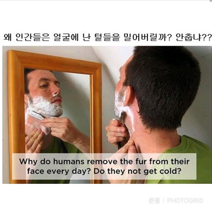 강아지가 인간칭구칭구에게 진짜 궁금한것들 | 인스티즈