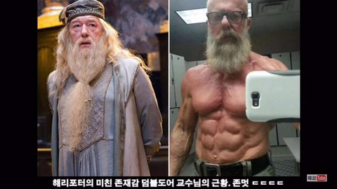 덤블도어가 최강의 마법사였던 이유.jpg | 인스티즈
