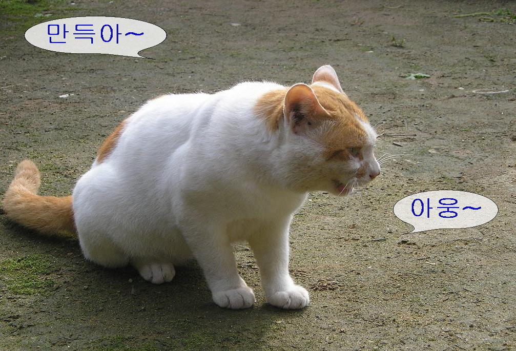 희선 이미지