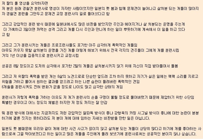 사람무는 개 훈련시키는 일본인 조련사 | 인스티즈
