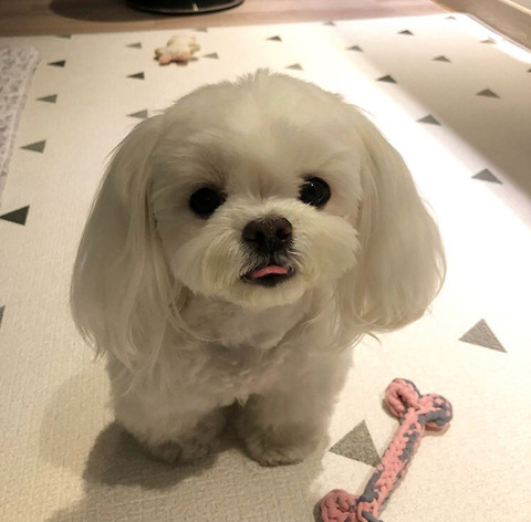 저 머리 묶은게 이뻐요, 아님 푸른게 이뻐요ㅠㅠ?? | 인스티즈