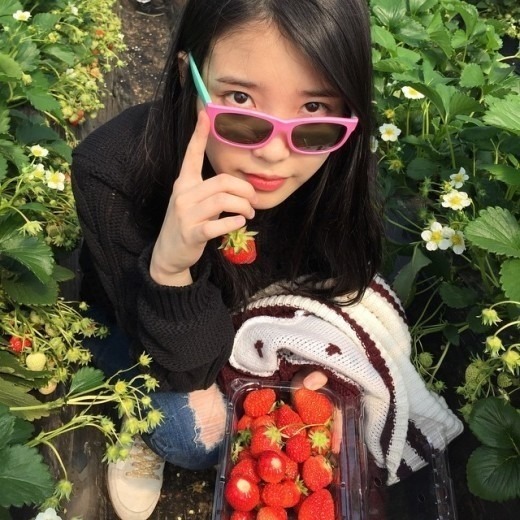 34번째 하루 한번 이지은 아이유 | 인스티즈