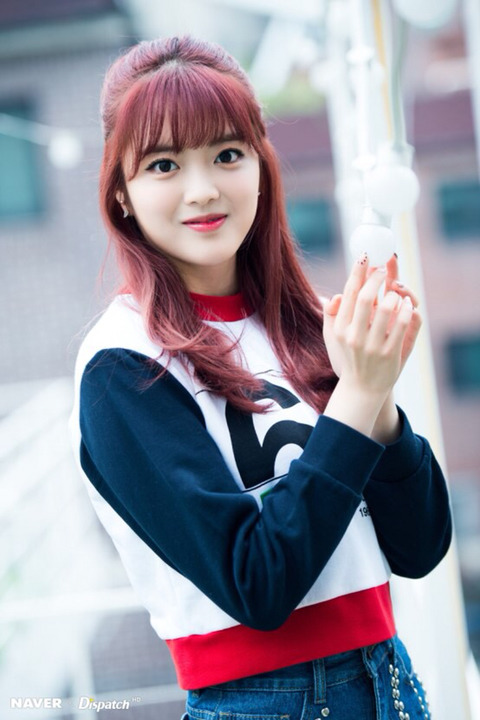 수연 이미지