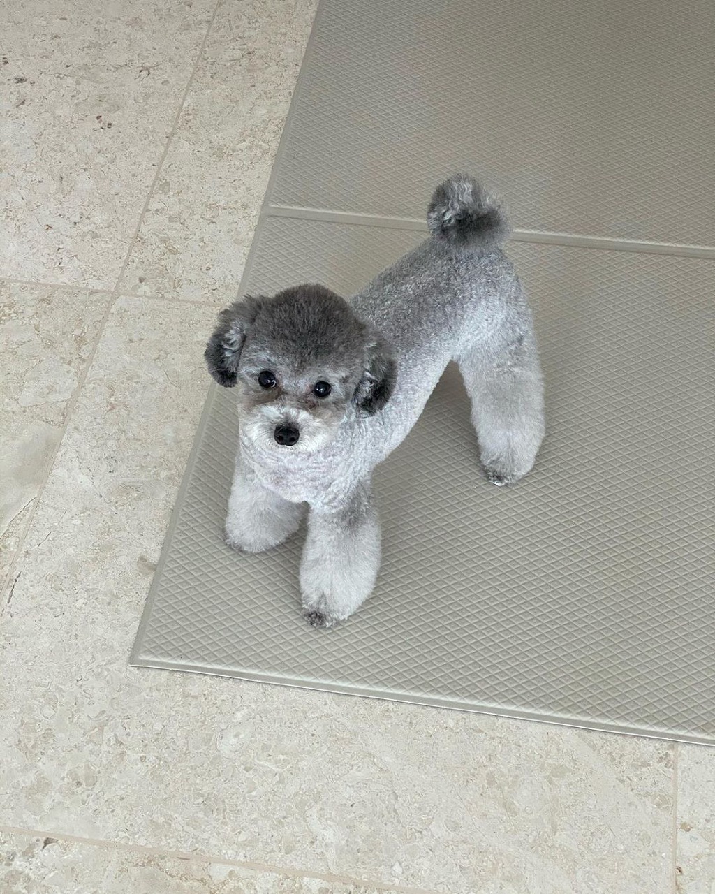 99982C3A5F3ECF4307AF2D