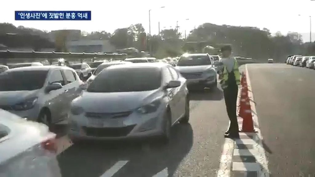 인생사진에 짓밟힌 분홍 억새.jpg | 인스티즈