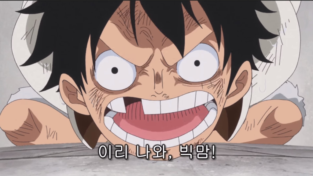 눈앞의 빅맘에게 1:1 승부를 요청하는 루피 | 인스티즈
