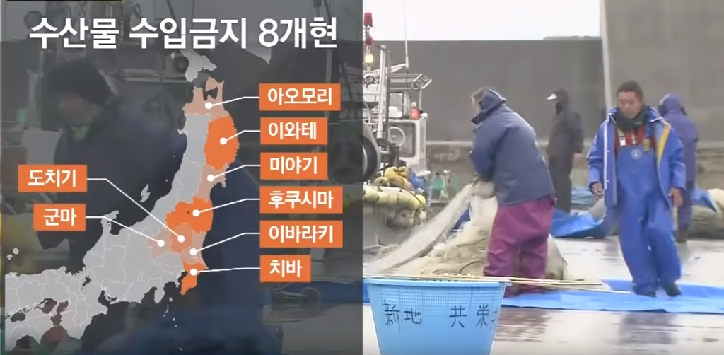 후쿠시마 사고 5년, 한국은 안전한가? (+먹어서 응원하자 리스트) | 인스티즈