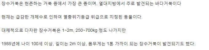 혐주의) 장수거북의 입속 | 인스티즈