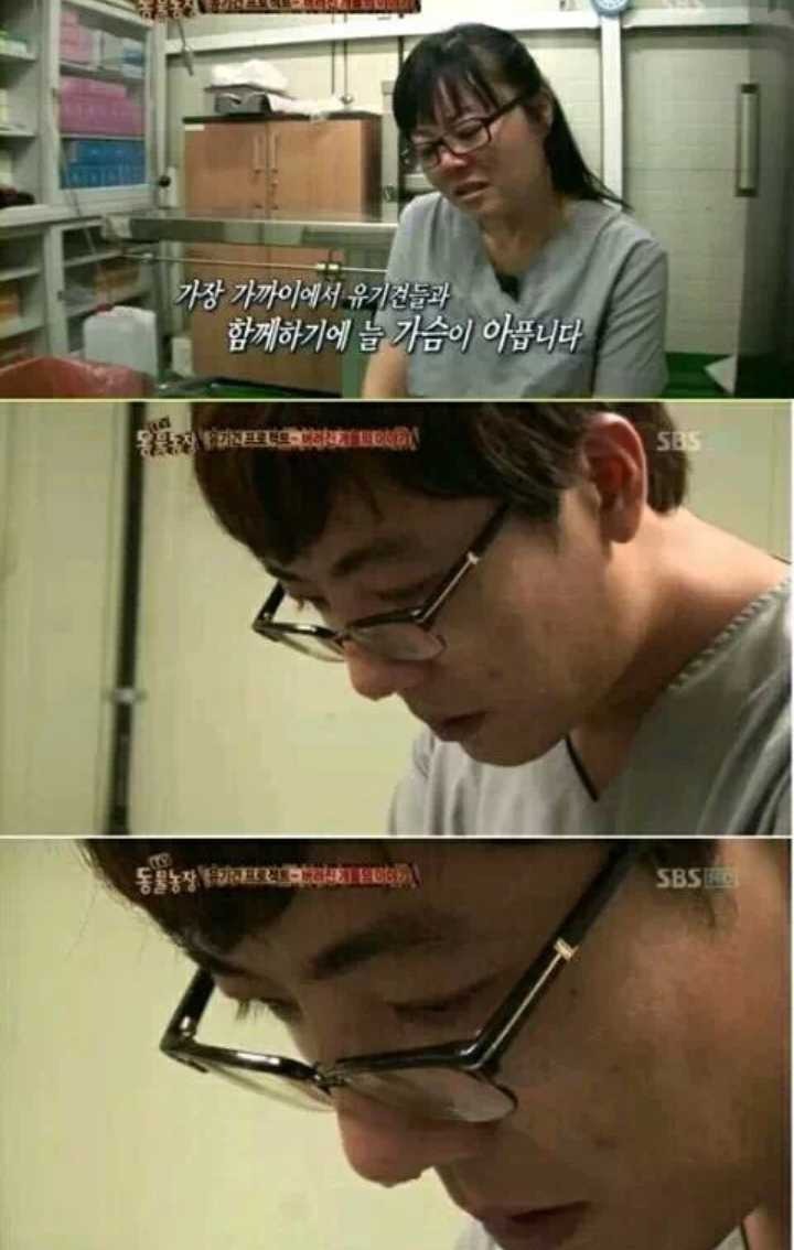 유기견 안락사 시키는 수의사들 | 인스티즈