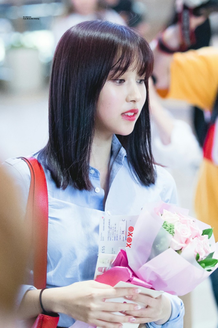 샤론 이미지