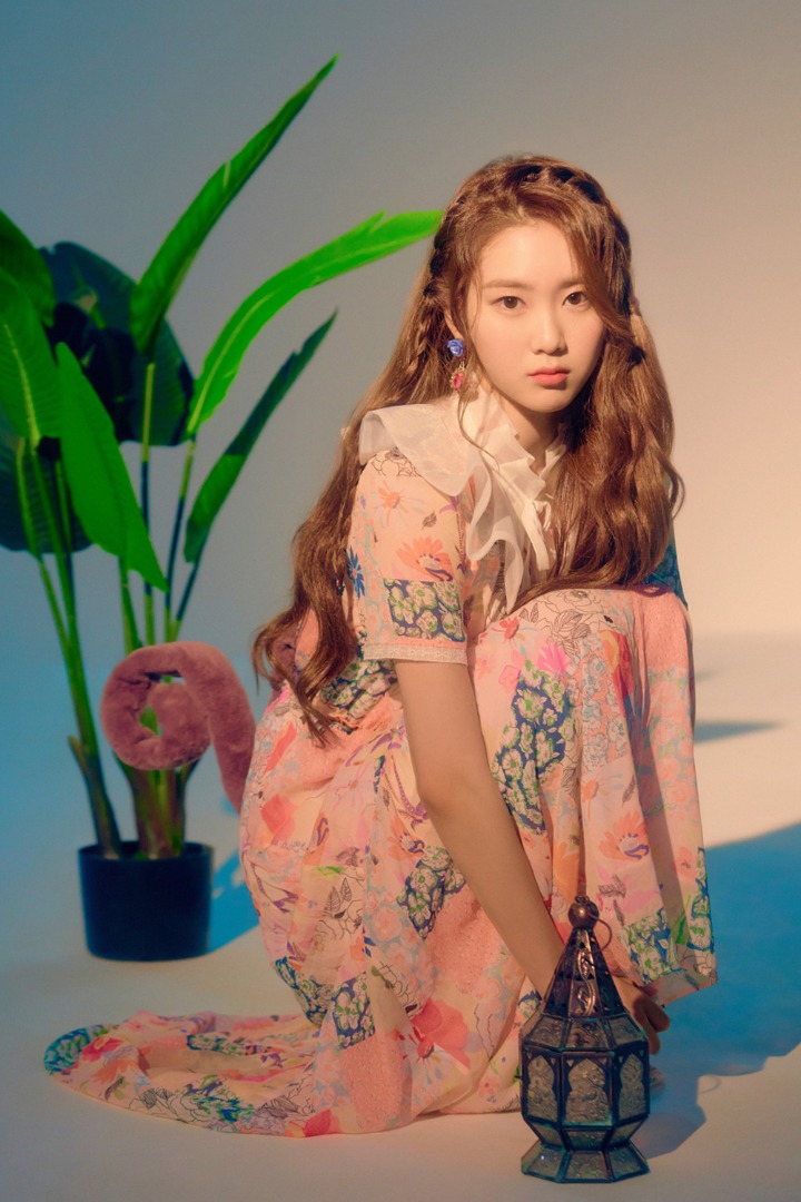 반하나 이미지