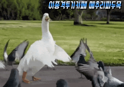 어떤 유부녀 BJ가 말하는 남편과 결혼한 이유 | 인스티즈