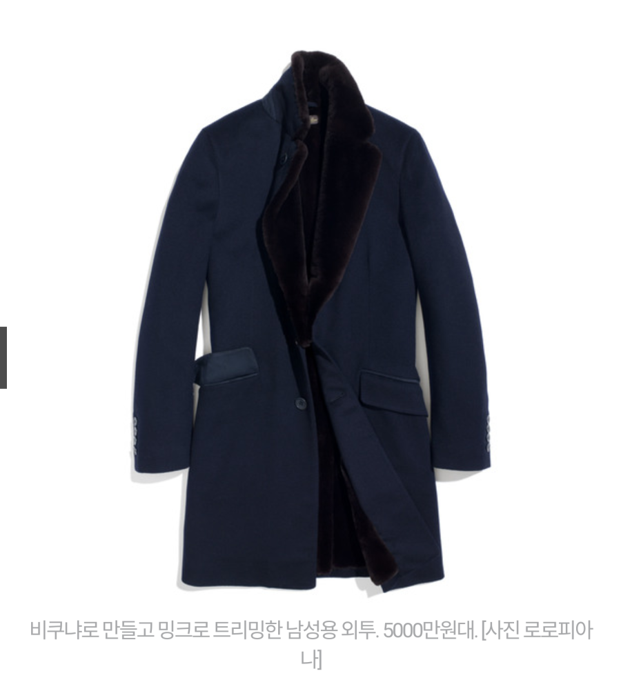 5000만원대 코트 ㄷㄷ | 인스티즈