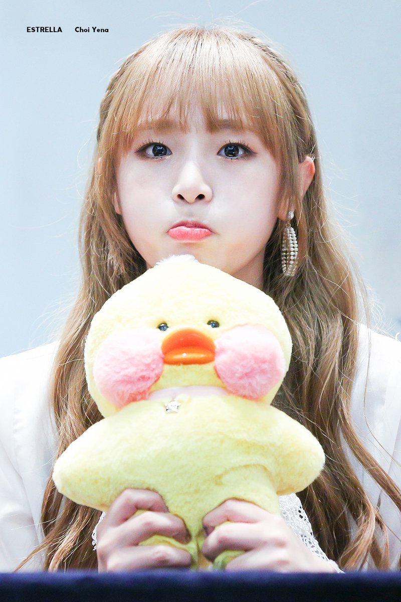 귀여운 아이즈원 동물농장 ㅋㅋㅋㅋㅋ | 인스티즈