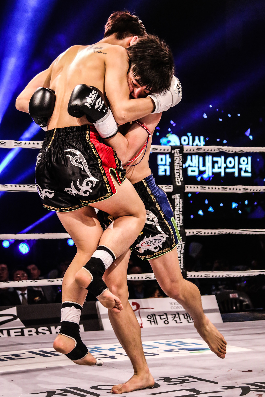 팀엑스짐 이미지