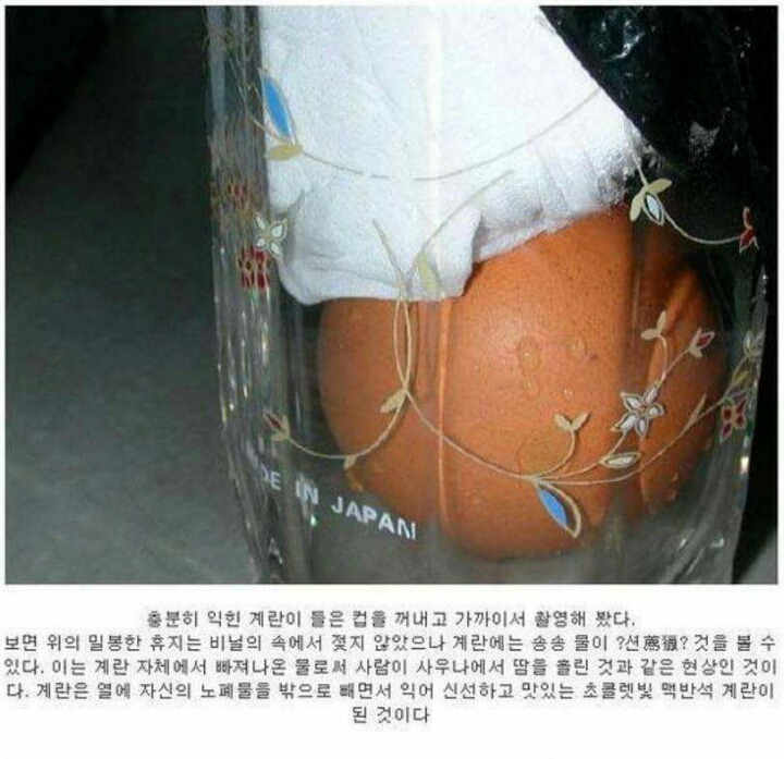 집에서 맥반석 계란 만들기 | 인스티즈