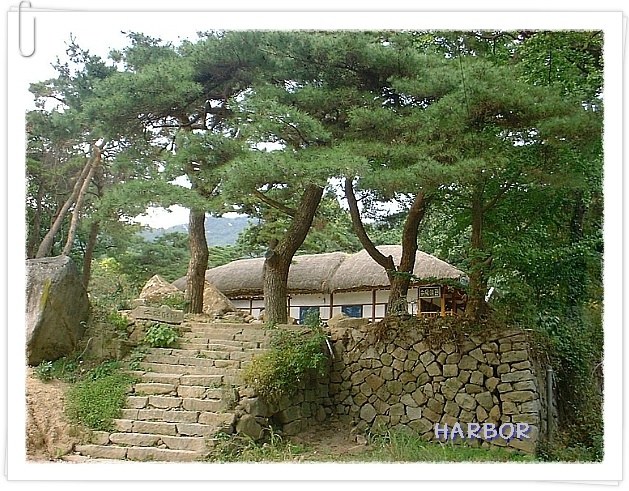 세남자이야기 이미지