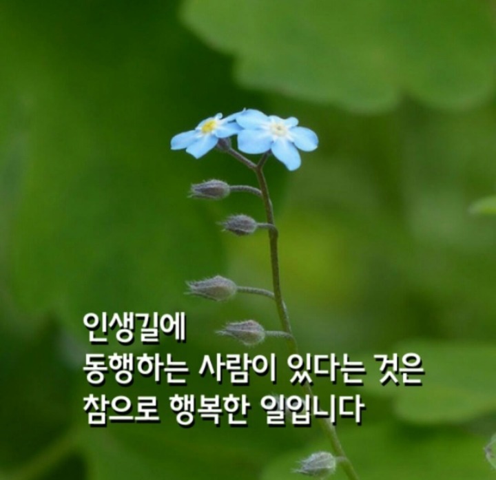 동행자 이미지