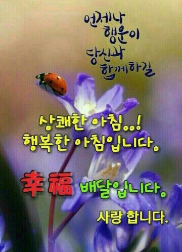 예쁜하루 이미지