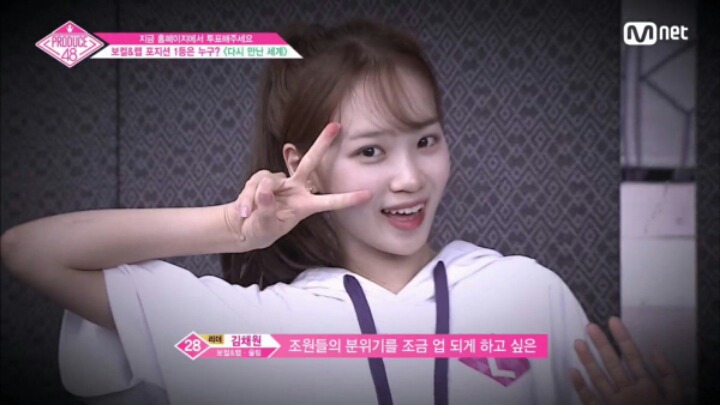 채원 이미지
