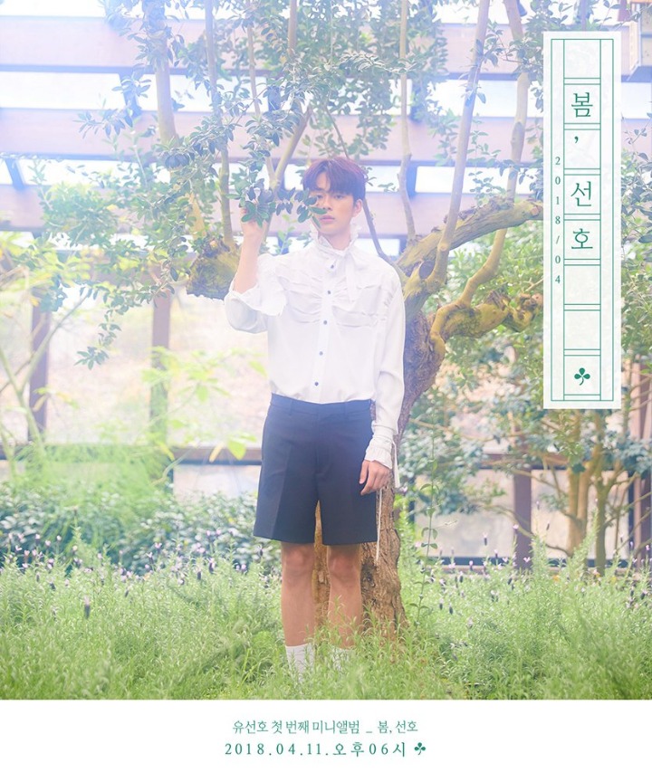 선호 이미지
