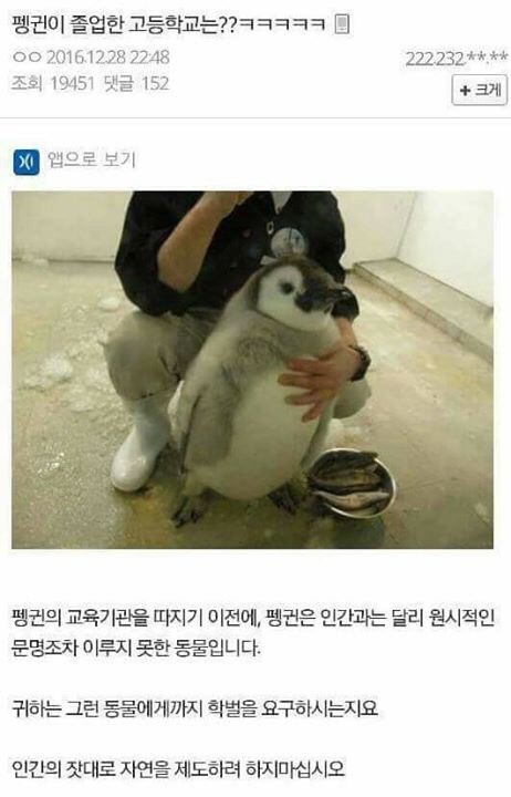 펭귄이 졸업한 고등학교는?.jpg | 인스티즈