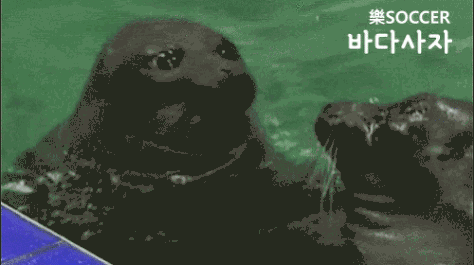 히라이 모모 | 인스티즈