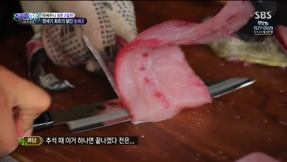 오늘자 정글의법칙 이태곤 회뜨기 클라스 | 인스티즈