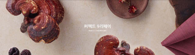 이니스프리가 얼마나 제주도를 탈탈 터는지 알아보자(feat.제주도 착즙기 브랜드).jpg | 인스티즈