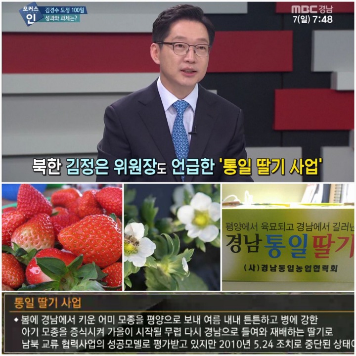 남북정상회담때,지자체 간의 경제교류가 화제가 된 자리에서~ | 인스티즈