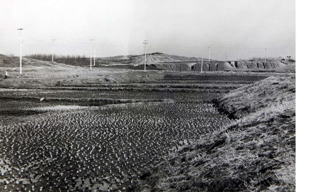 1970~80년대 서울 강남 사진.jpg | 인스티즈
