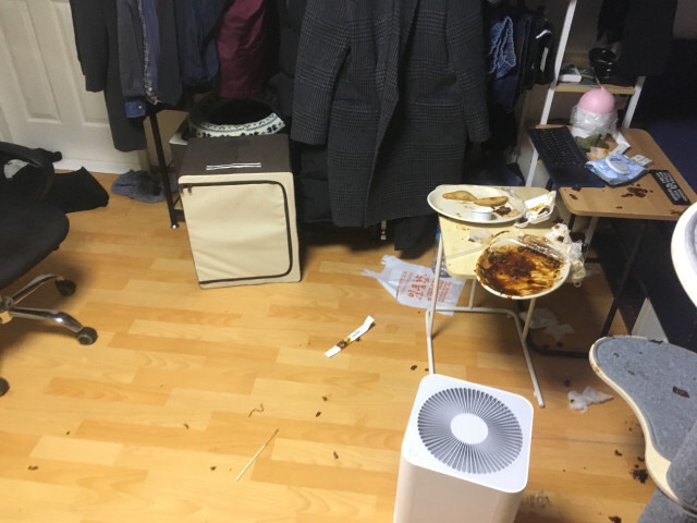 하.... 고양이가 또 대형사고 쳤네여...ㅠㅠ | 인스티즈