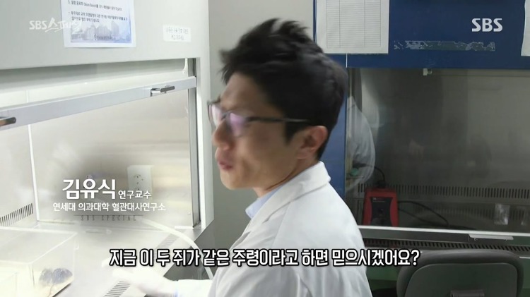 살이 찌는 건 호르몬의 문제다 라고 말하는 다큐멘터리.jpg | 인스티즈